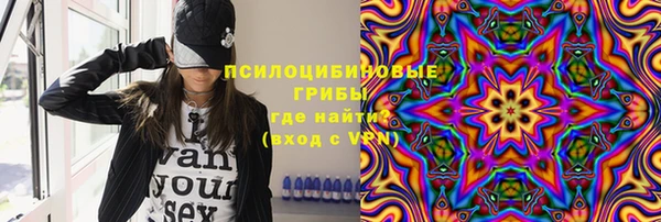 a pvp Алексин